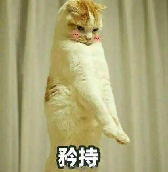  kiko这个牌子的唇釉,到底好不好用拔草向