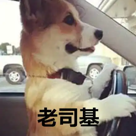  阅读能力满分的表情包