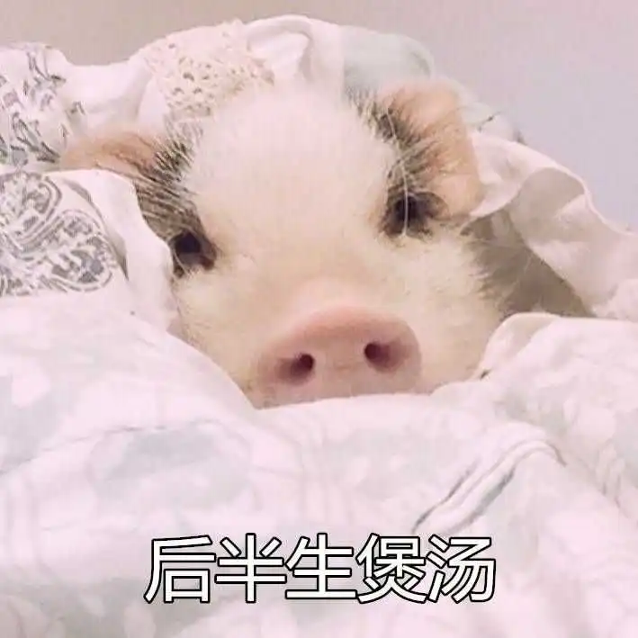  表情怎么样才可以改掉熬夜的习惯表情