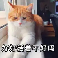  好好活着不好吗表情包微信头像图片大全