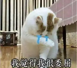  可爱猫咪表情包,萌萌的小仙女最为喜欢,小哥哥都hold不住