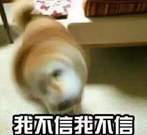  没有女朋友真不怪我,因为狗都比我会撩