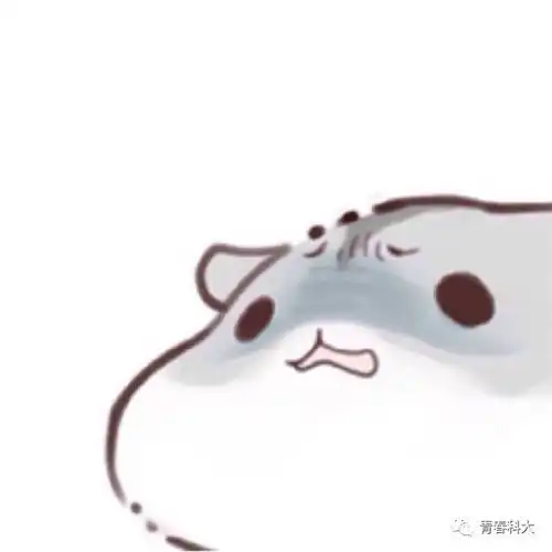 小仓鼠表情包图片大全头
