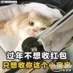  猫咪土味撩人情话表情图片我是九你是三除了你还是你情话表情包下载乐游网游戏下载