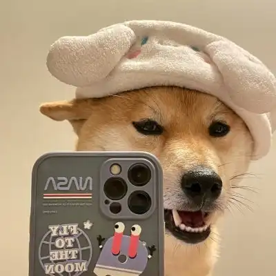  狗狗自拍照头像,狗狗拿手机自拍头像图片