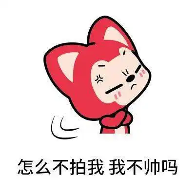  来拍我呀