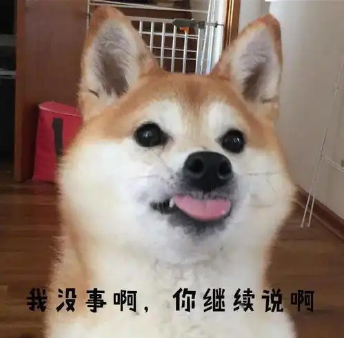 搞笑的动图表情包狗子