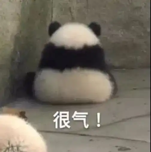 生气熊猫表情包动图喊我