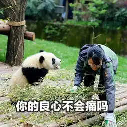 野人图片表情包熊猫