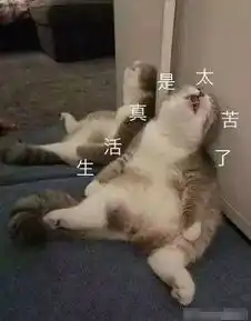  心宇亲密恐惧