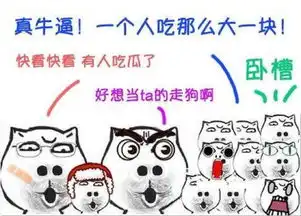 猥琐猫人脸表情包全集大