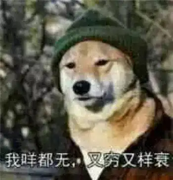  最全沙雕狗子表情包合辑年度最傻狗子都在这儿了
