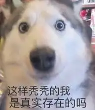  熬夜党专用表情包别人脱单你脱发,以后还敢熬夜吗