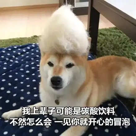 柴犬表情包图片土味情话