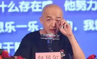  王宝强手撕徐峥揭港囧包贝尔上位挤掉宝宝内幕