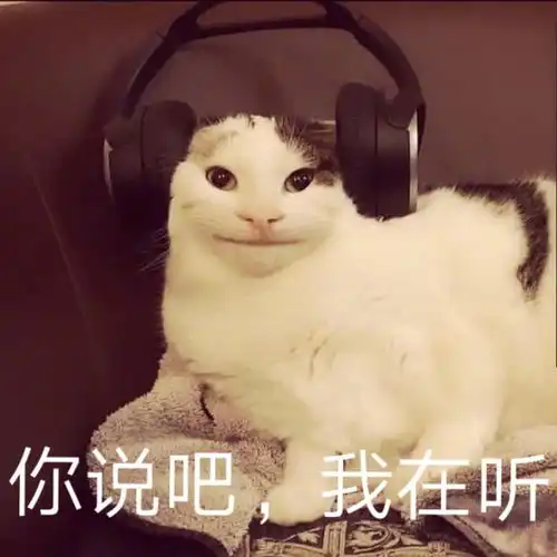 猫边吃边甩头怕不是傻了网友它下一秒准备变身吧哈哈哈