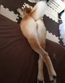  扎心了马云给年轻人的三句话,反正我是看哭了