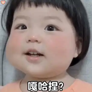  表情包晚安小b崽子