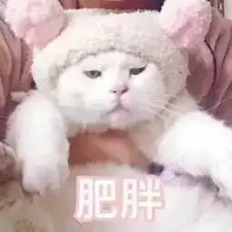  我不是针对谁,在座的各位,都不会扔垃圾