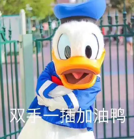  唐老鸭表情包你好棒棒鸭今天也要加油鸭