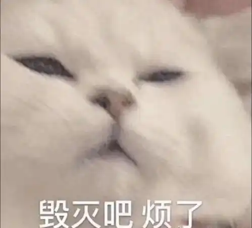  有没有后悔疫情回来的留学毕业生