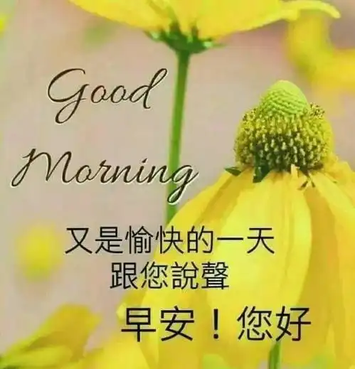  爱也罢,恨也罢,爱恨莫记心宽大,早安