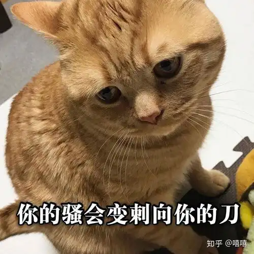  有哪些沙雕而不乏可爱的表情包狗头