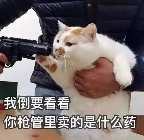  明星都想要的平锁骨,害了多少女生肩膀