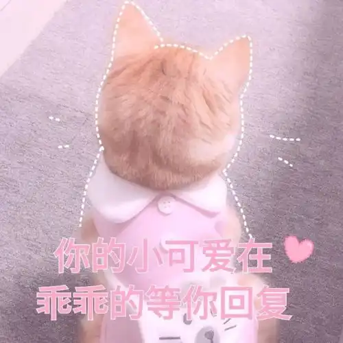 好不好嘛表情包撒娇出去