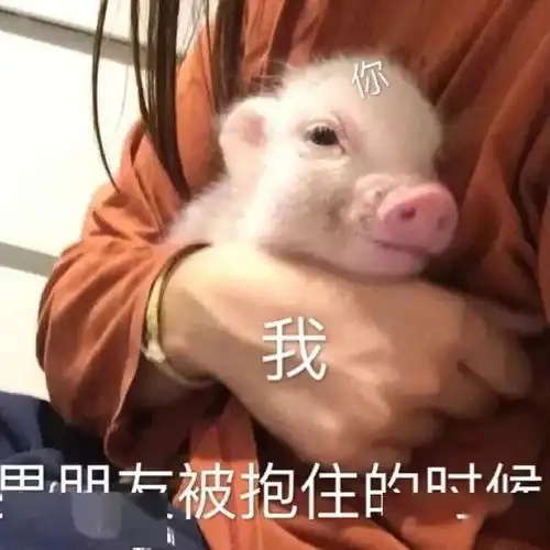  表情包今日份斗图源