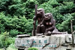  寻找野人的足迹,探访神秘的神农架