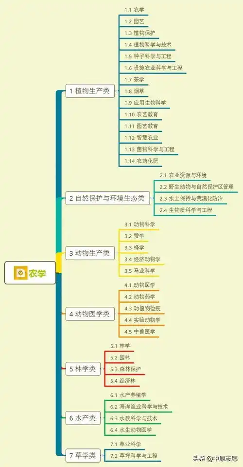  12张思维导图带你认清大学全部专业