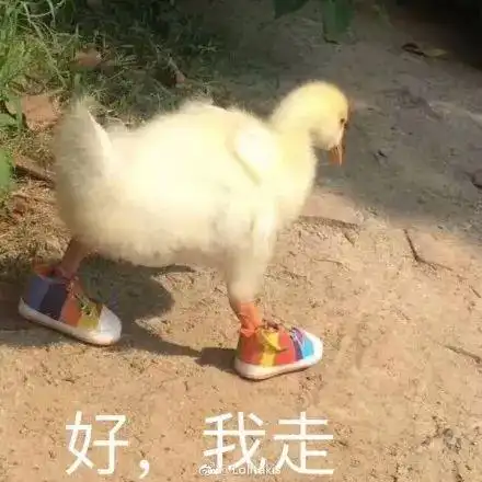 曝马蜂窝抄袭作者再发声我们是四人团队是叫有组织攻击创事记新浪科技新浪网
