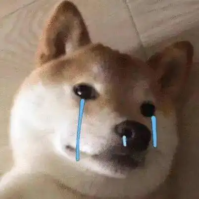  滦州人,雨马上到接下来这件事很重要