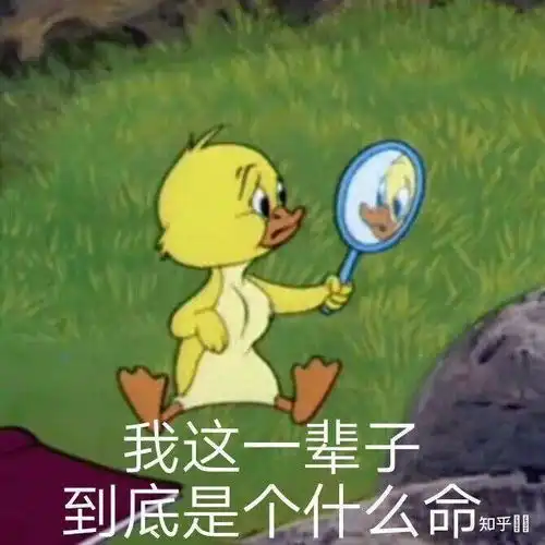 发工资表情包沙雕文案