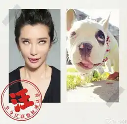 狗狗开心表情包图片李冰冰