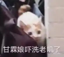  表情包i就因为我靓仔就针对我