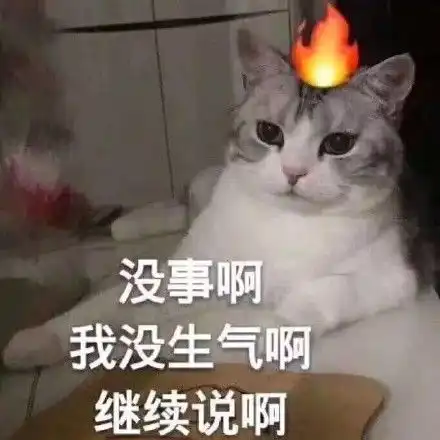 猫咪冲刺表情包没事
