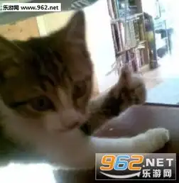  点赞猫表情大合集下载猫点赞表情包下载无水印乐游网游戏下载