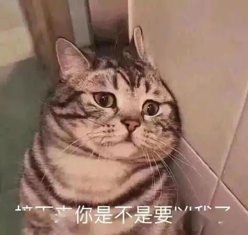  小仙女表情包用起来