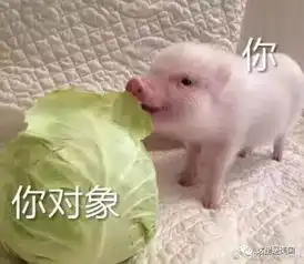  当外国爸爸知道了女儿有男朋友之后......