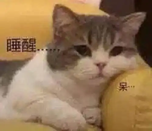  今日表情推荐,812