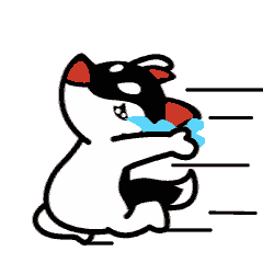  可爱调皮的彼得比雪橇犬qq表情包