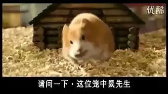 豚鼠特工队中文 豚鼠特工队中文