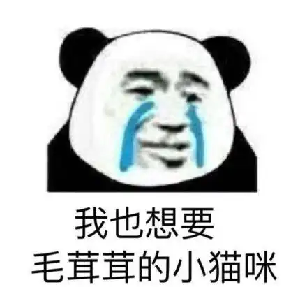  元旦元0,不过是从零开始罢了