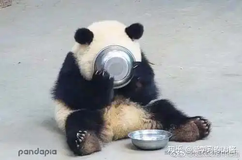 熊猫放屁爱心表情包剪刀