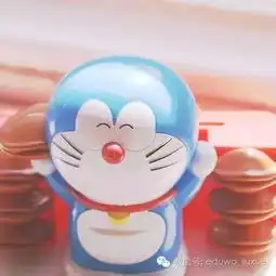  赴美留学却不懂法让留学e网帮你理清头绪