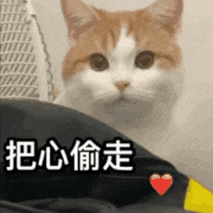  可耐表情包把心偷走