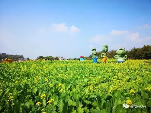  春节祝福发什么西塘微信表情祝您新年快乐