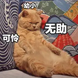  继莔洞以后新开发的一个云养莔技能养小莔戳